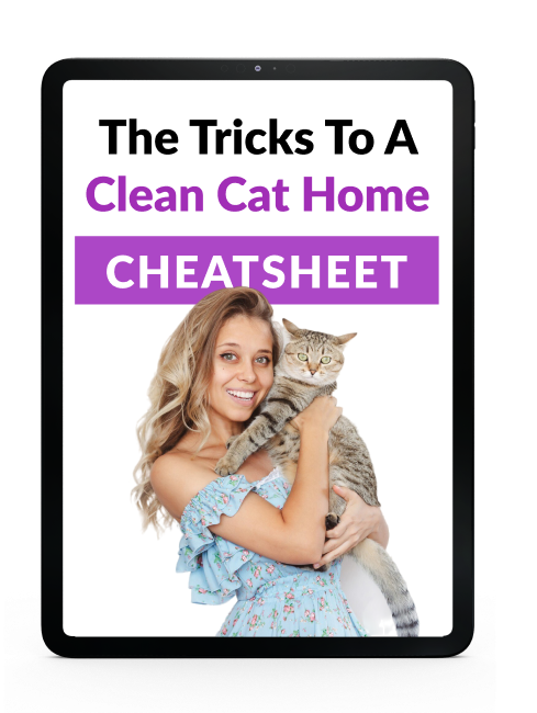 The Tricks To A Clean Cat Home